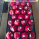 Jual Buah Nectarine USA Per Kg