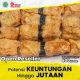 Jual & Open Reseller Dimsum Mbledos