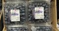 Jual Buah blueberry import