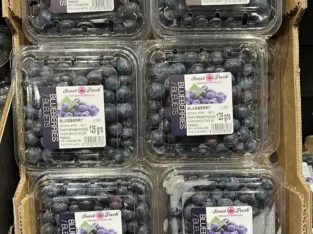 Jual Buah blueberry import