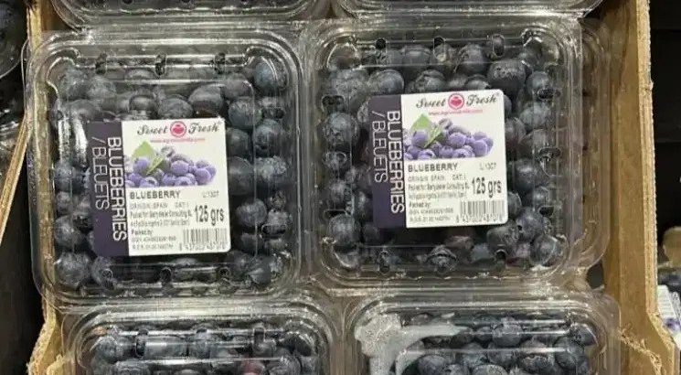 Jual Buah blueberry import