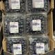 Jual Buah blueberry import