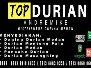 Distributor Durian Kupas Super Medan