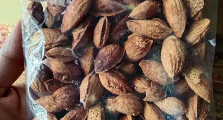 Jual Kacang Almond