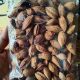 Jual Kacang Almond
