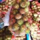 Jual Rambutan Rapiah