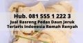 PUSAT BASRENG INDONESIA, Hub. 081 555 1 222 3,