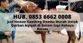 JUAL SAPI QURBAN BATAM, Hub. 0853 6662 0008