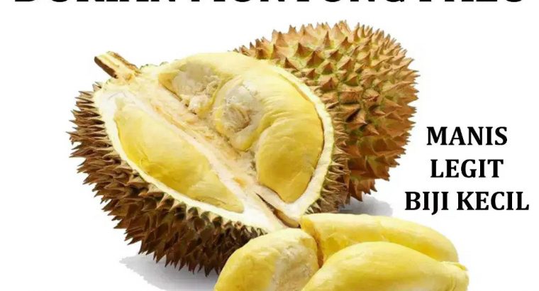 Jual Durian Monthong Palu Asli