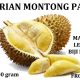 Jual Durian Monthong Palu Asli