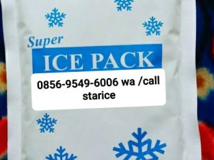 Jual ice pack depok 085695496006