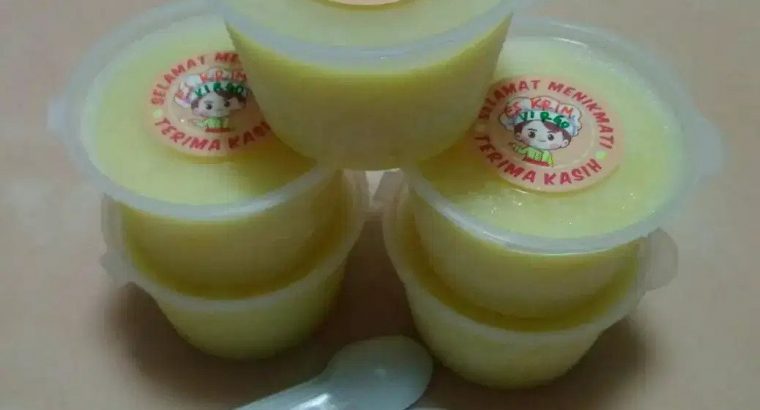 Jual Es Cream Durian Cup