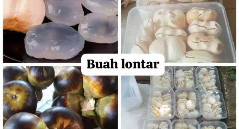 Jual Buah lontar