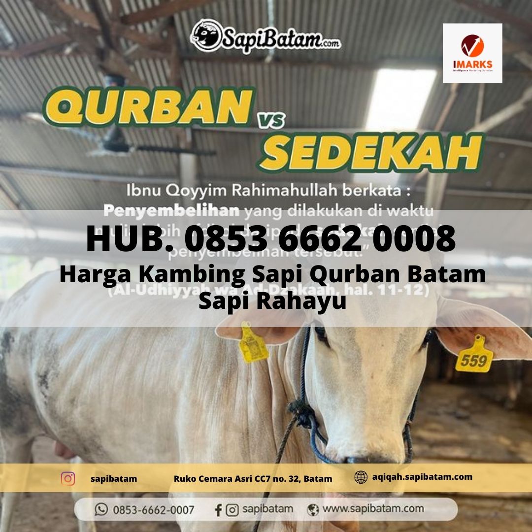 Harga Hewan Qurban Bersertifikat Halal Di Bat Marketplace Kuliner Indonesia