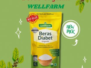 Jual Beras Diabetes Wellfarm