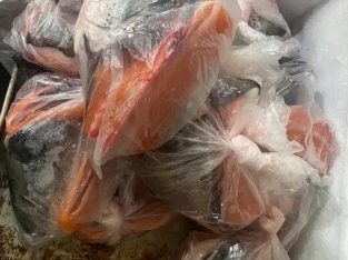 Jual Kepala ikan salmon dan tulang tengah