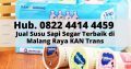 Hub. 0822 4414 4459, Jual Susu Sapi Segar Terbaik