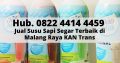 Hub. 0822 4414 4459, Jual Susu Sapi Segar Terbaik