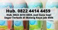 Hub. 0822 4414 4459, Jual Susu Pasteurisasi Asli M