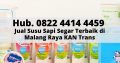 Hub. 0822 4414 4459, Jual Susu Sapi Segar Terbaik