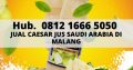 JUAL CAESAR JUS SAUDI ARABIA, Hub. 081216665050