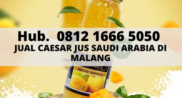 Hub. 0812 1666 5050, Jual Jus Buah Dalam Botol