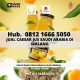 Hub. 0812 1666 5050, Jual Jus Buah Dalam Botol