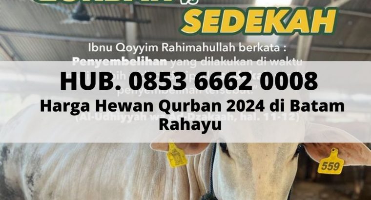 Hewan Qurban 2024 Terbaik di Batam Sapi Rahayu