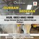 Hewan Qurban 2024/1445 H Termurah di Batam Sapi