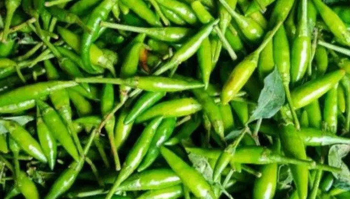 Jual Cabe Rawit Hijau