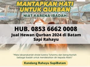 Hub. 0853 6662 0008, Jual Hewan Qurban 2024 Termur