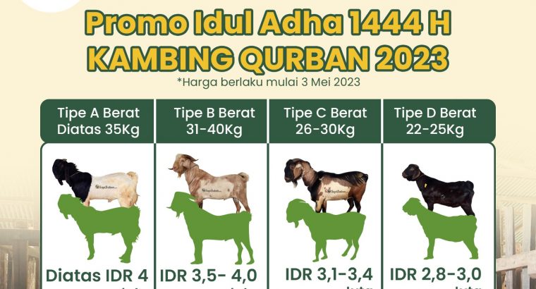 Hub. 0853 6662 0008, Jual Hewan Qurban 2024 di Bat