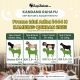 Hub. 0853 6662 0008, Jual Hewan Qurban 2024 di Bat