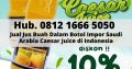 Grosir Jus Buah Dalam Botol Caesar Juice Termurah