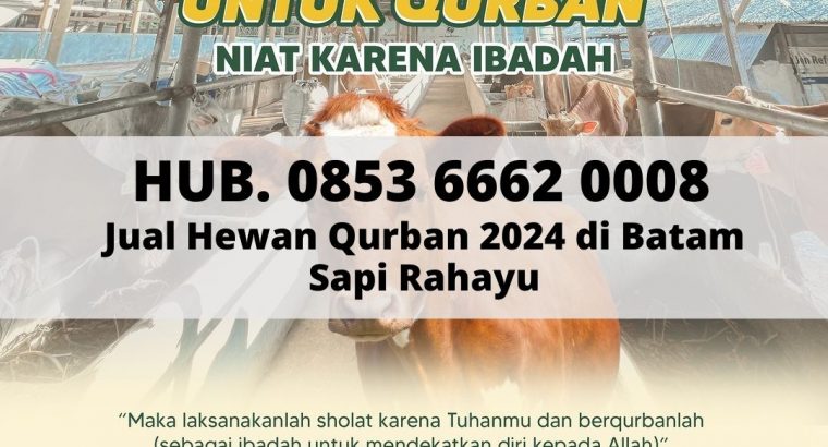 Hub. 0853 6662 0008, Jual Sapi Qurban 2024 di Bata