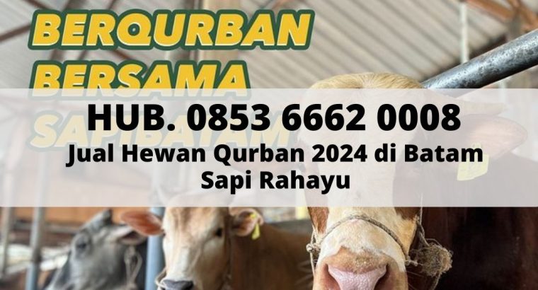 Hub. 0853 6662 0008, Jual Sapi Qurban 2024 di Bata