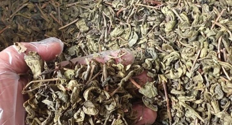 Jual Dauh Teh Hijau Green Tea