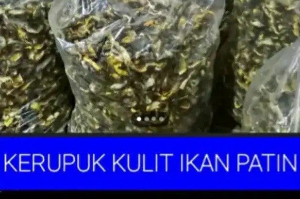 Jual Kerupuk Kulit Ikan Patin.