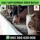 Jual Sapi Qurban 2024 Terpercaya di Batam Sapi Rah