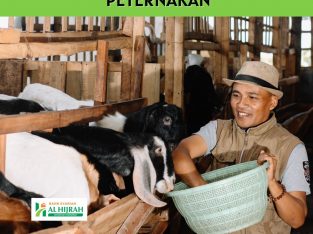 Hub 0823 3355 5352, Kredit Usaha Peternakan Malang