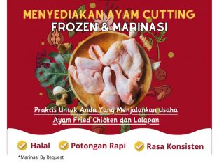 Pusat Produksi Ayam Ungkep Frozen di Balikpapan