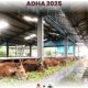 Pusat Penjualan Hewan Qurban Hari Raya 2025 Batam